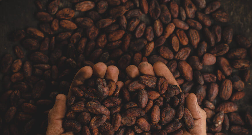 Kalium - Superheld der Nerven und Muskeln