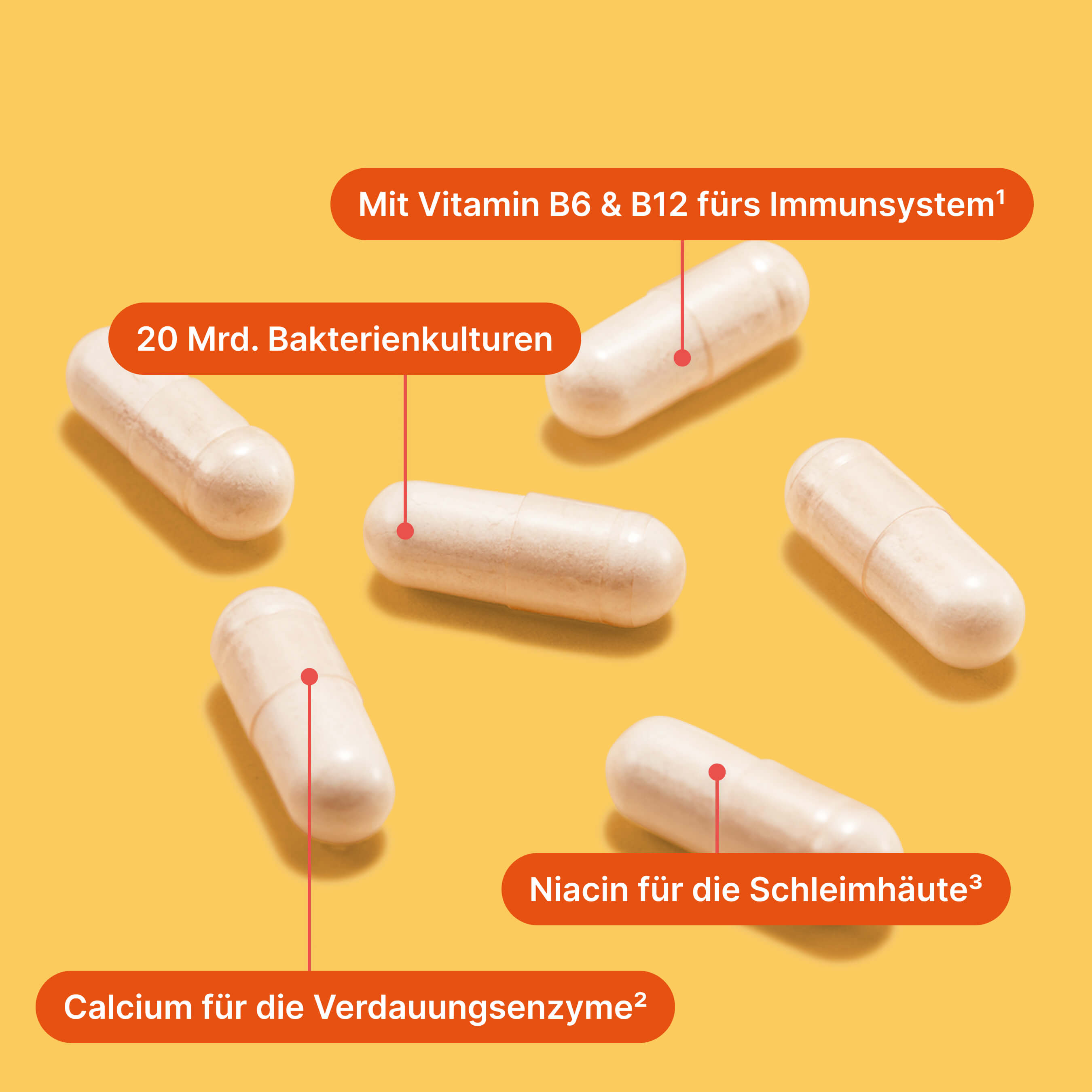 Gut Care Kapseln