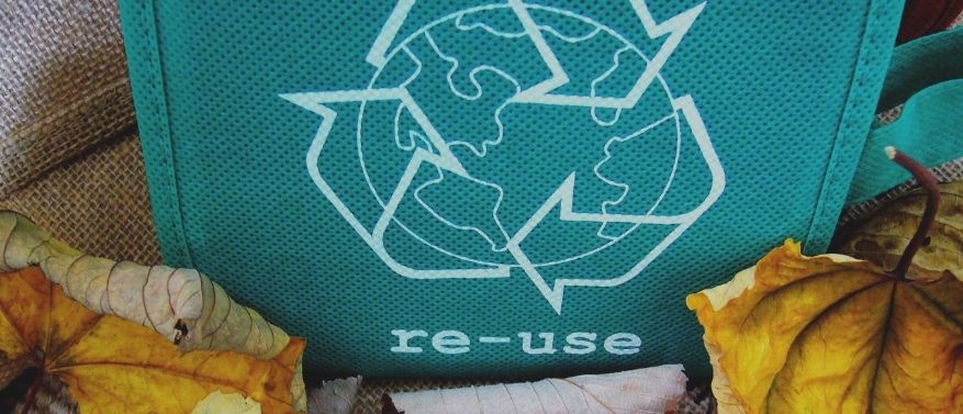 Autophagie - Wann sie beginnt und ihre Auswirkungen