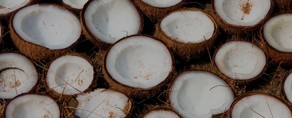 Caprylsäure (C8) - Energie aus Ketonkörpern