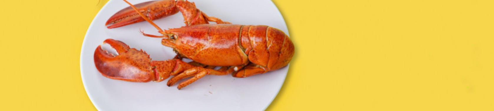 So wirkt Jod - Warum das Spurenelement so wichtig ist