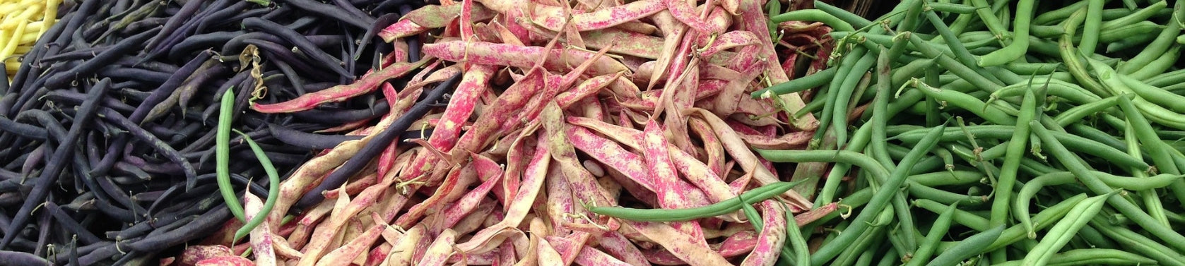 Chrom - Unterschätzter Verbündeter des Blutzuckers