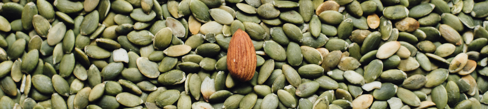 Zink - Ein unterschätztes Spurenelement