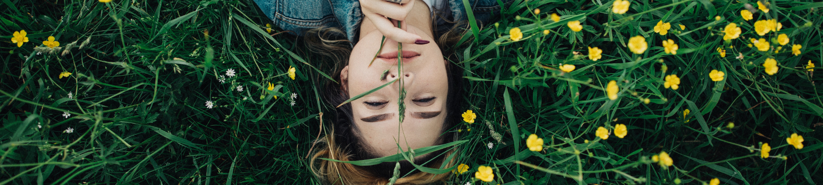 4 Zyklusphasen, 4 Jahreszeiten - das haben sie gemeinsam