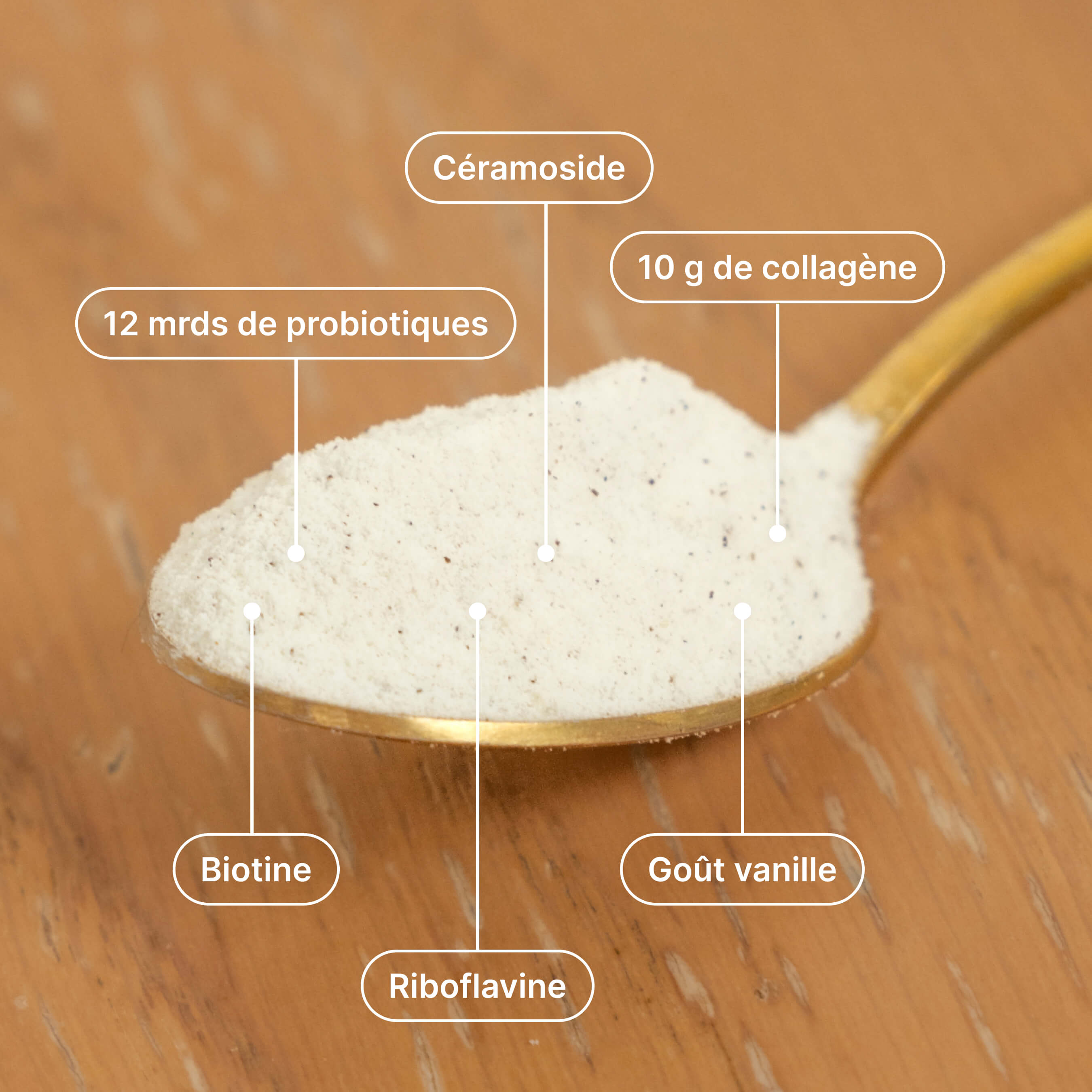 Daily Gut + Collagen