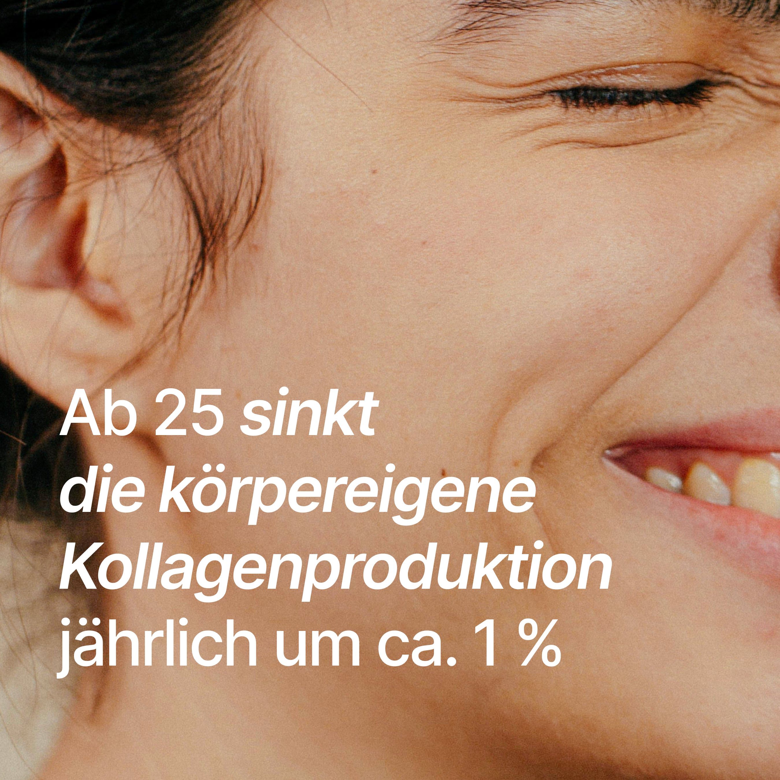 Daily Gut + Collagen