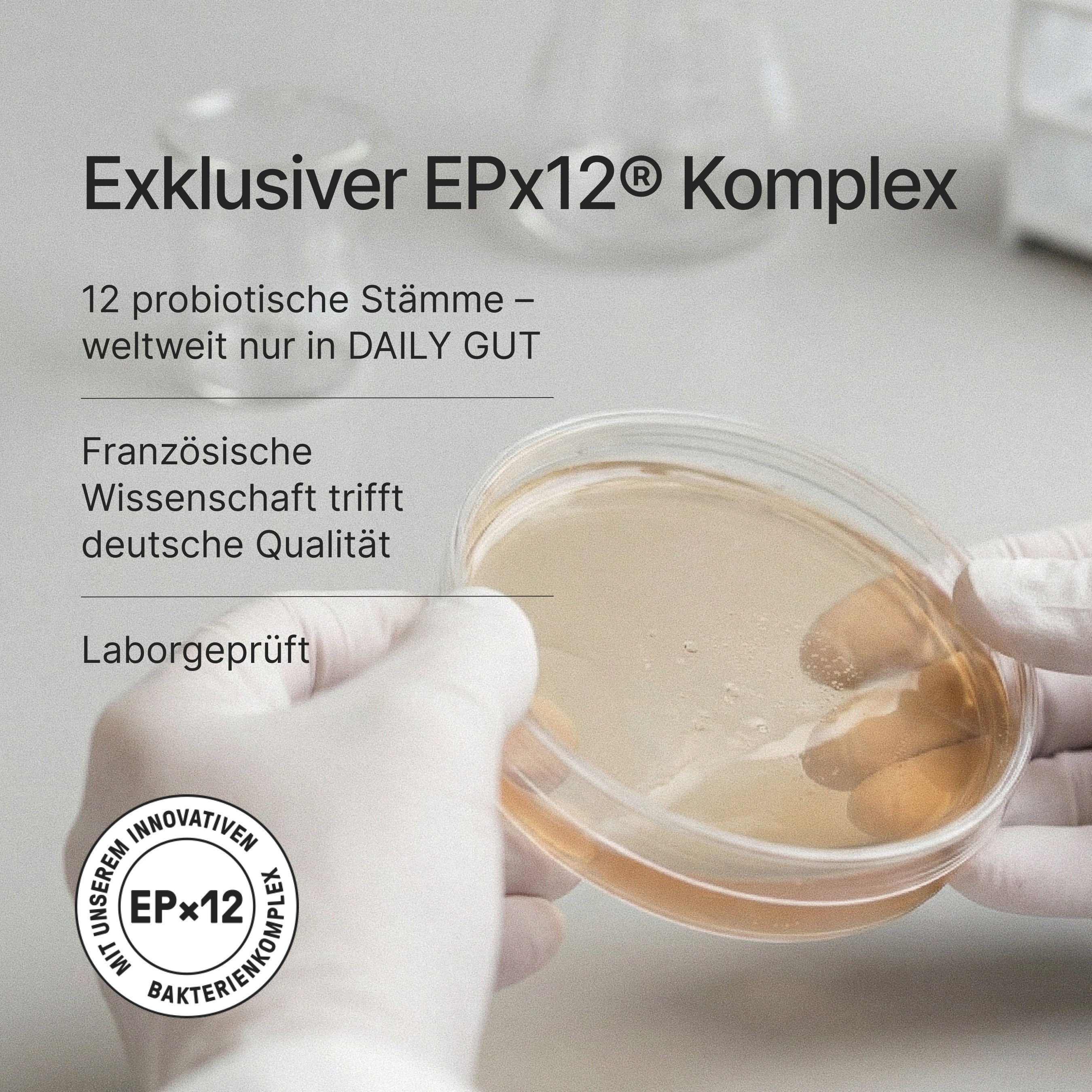 Daily Gut Probiotika