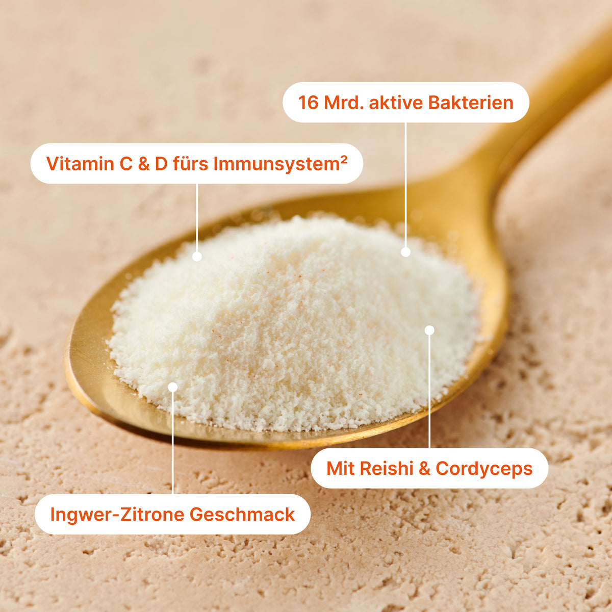 Cuillère dorée avec de la poudre claire, portant les étiquettes "16 Mrd. aktive Bakterien", "Vitamin C & D fürs Immunsystem²", "Mit Reishi & Cordyceps" et "Ingwer-Zitrone Geschmack"