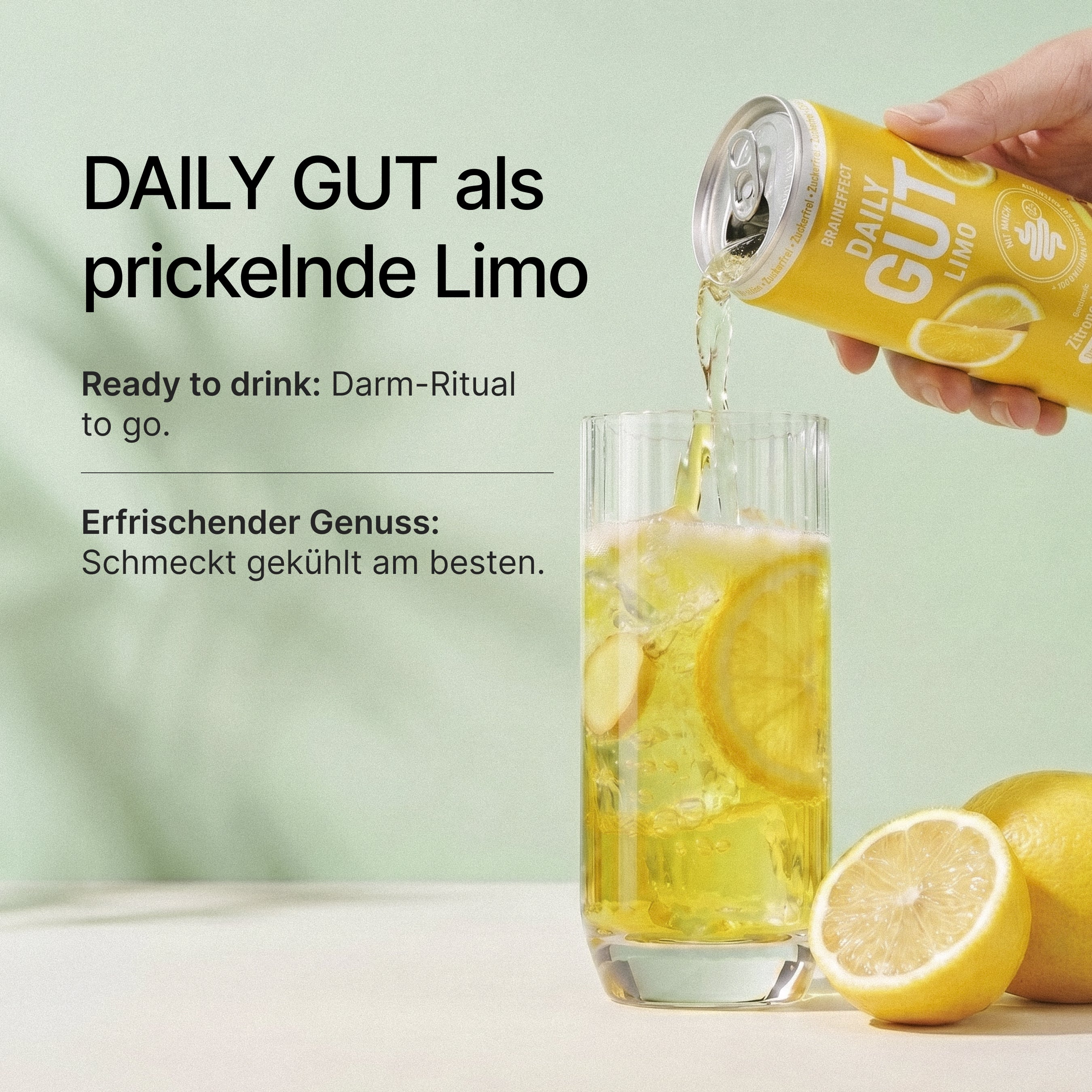 Daily Gut Limo (12 Stück)