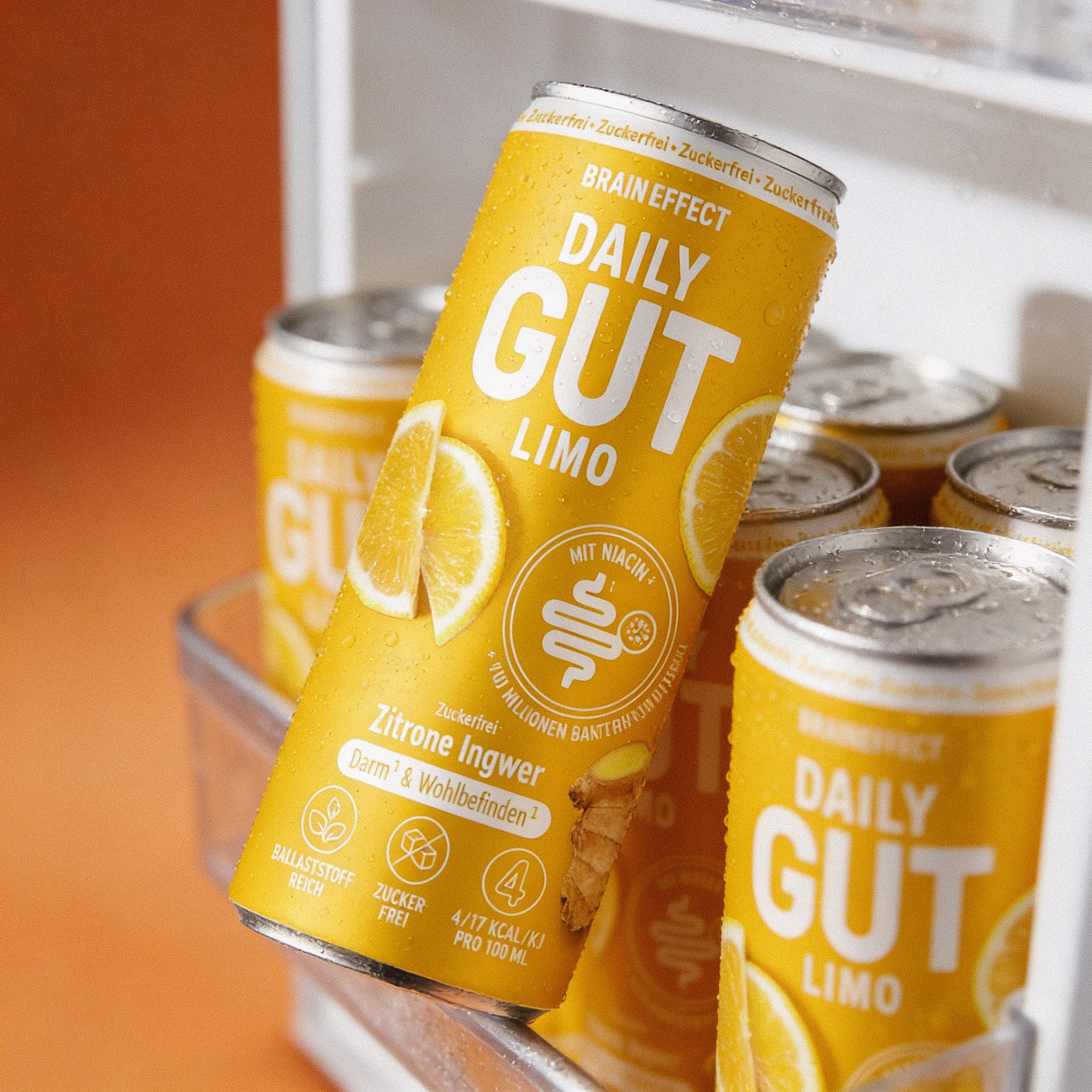 Daily Gut Limo (12 Stück)