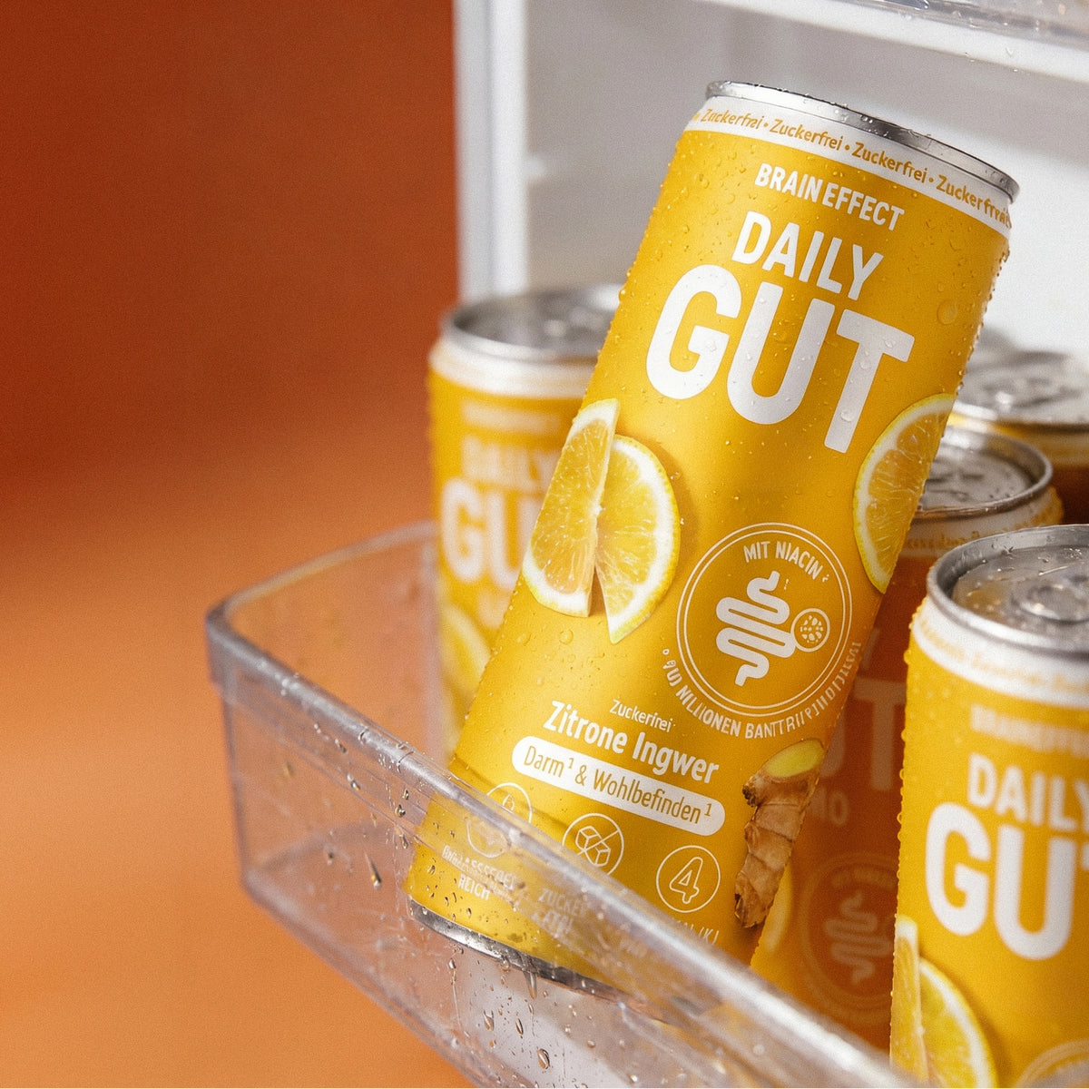 BRAINEFFECT Daily Gut Zitrone Ingwer Drink in einer geöffneten Kühlschranktür, beschriftet mit "BRAIN EFFECT DAILY GUT MIT NIACIN Zitrone Ingwer"
