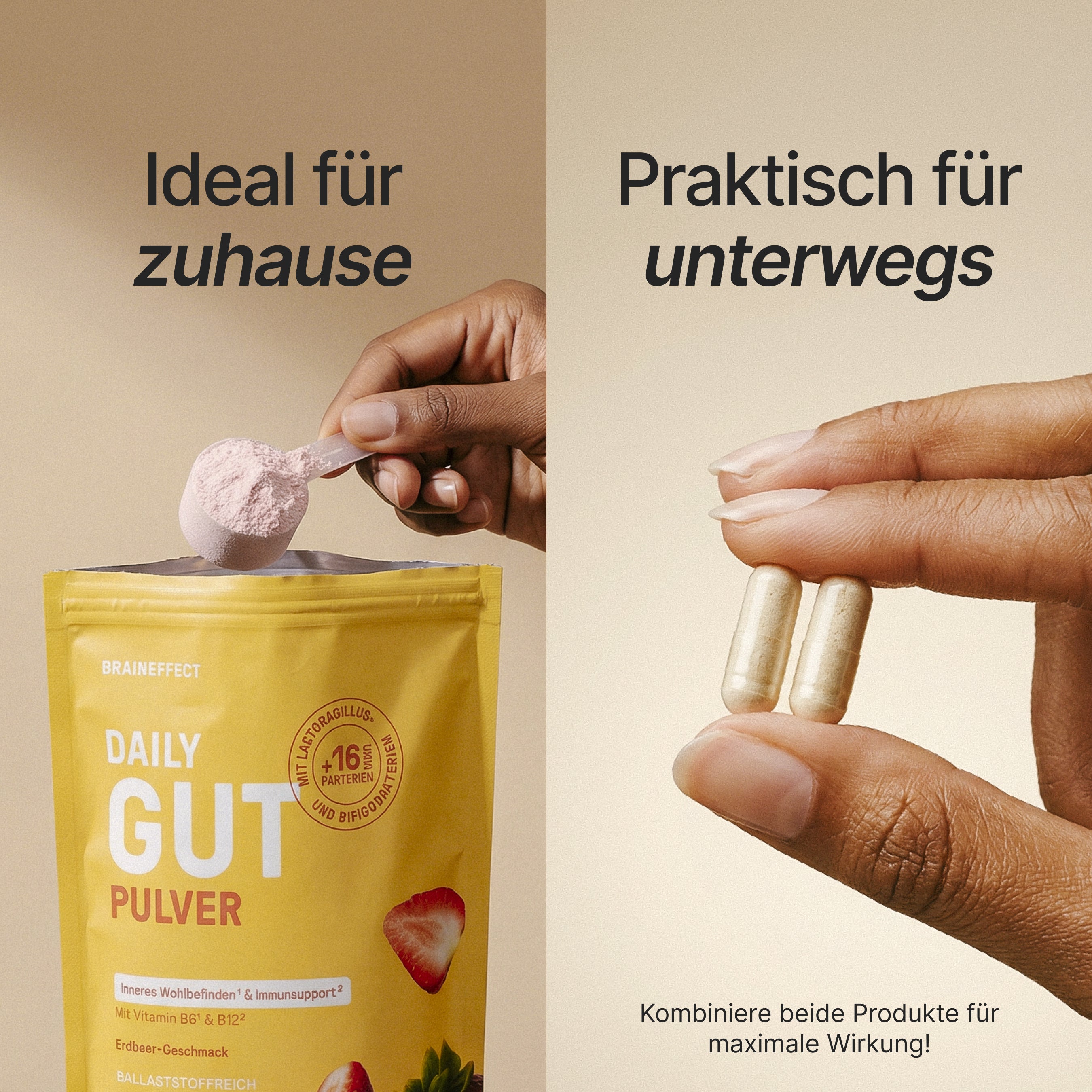 Guardians of the Gut