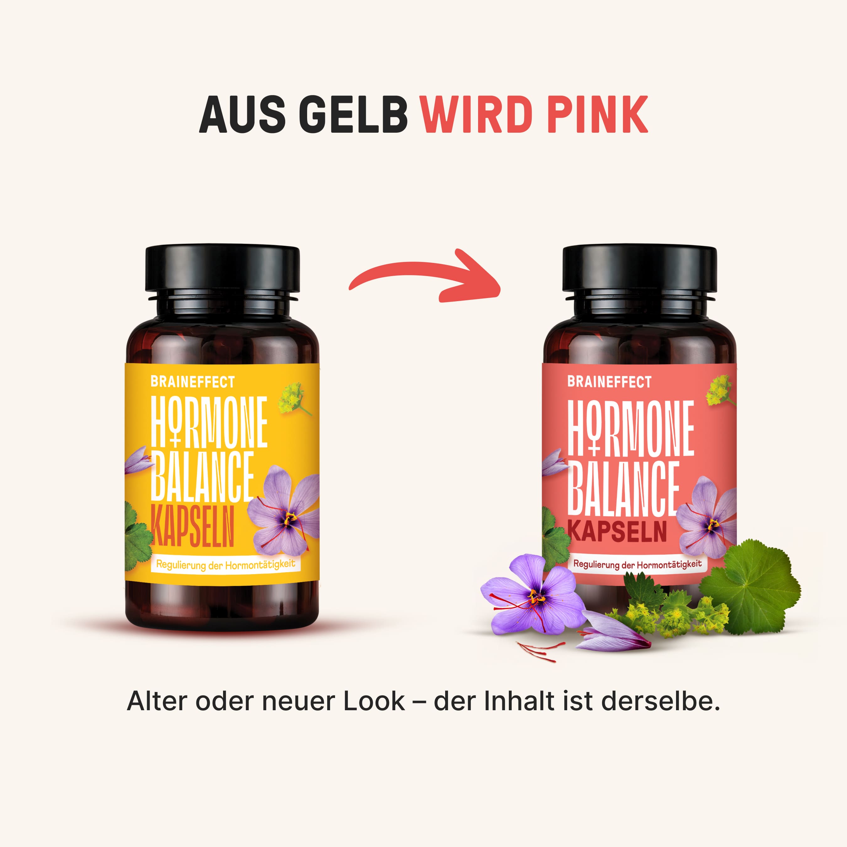 Hormone Balance Kapseln