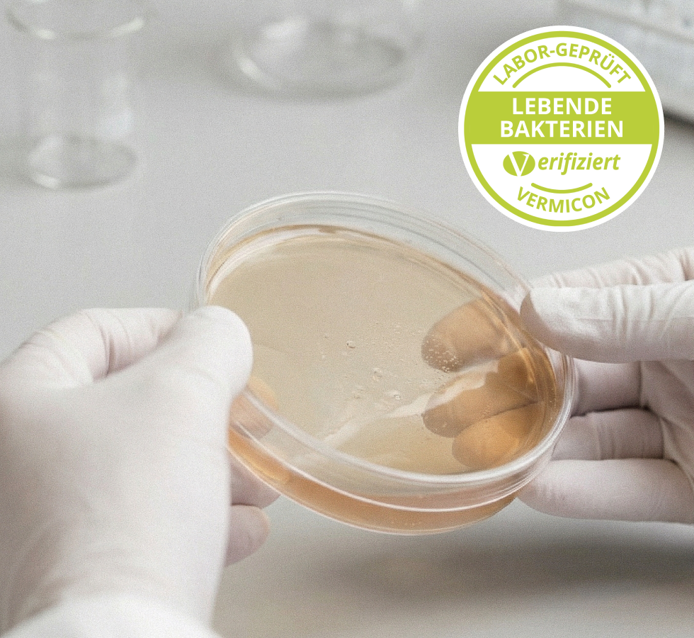 Hände in weißen Schutzhandschuhen halten eine Petrischale mit Nährboden, darüber das grüne Siegel mit dem Text "LABOR-GEPRÜFT LEBENDE BAKTERIEN verifiziert VERMICON"
