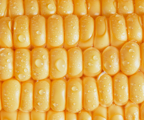 Fibers from Corn & Acacia