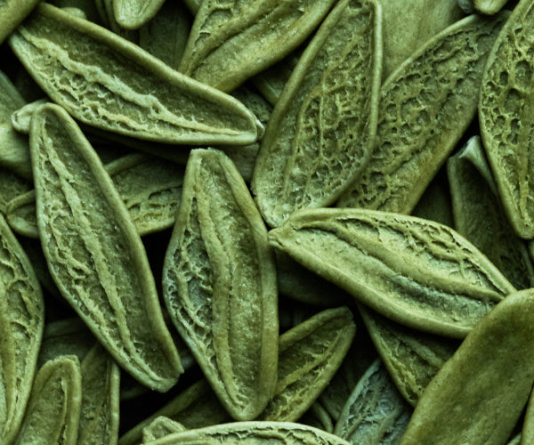 Steviol Glycosides